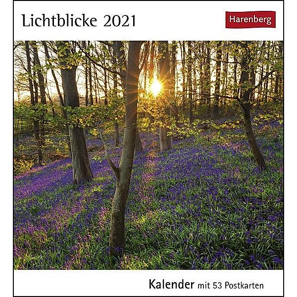 Lichtblicke 2020