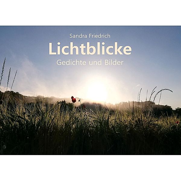 Lichtblicke, Sandra Friedrich