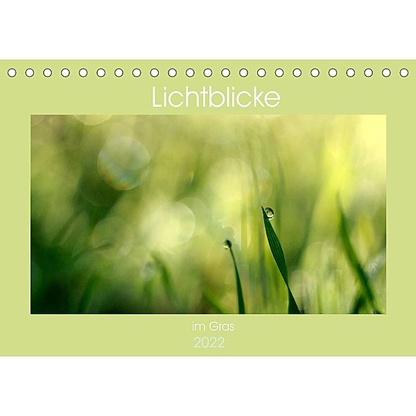 Lichtblicke im Gras (Tischkalender 2022 DIN A5 quer), Rosina Schneider