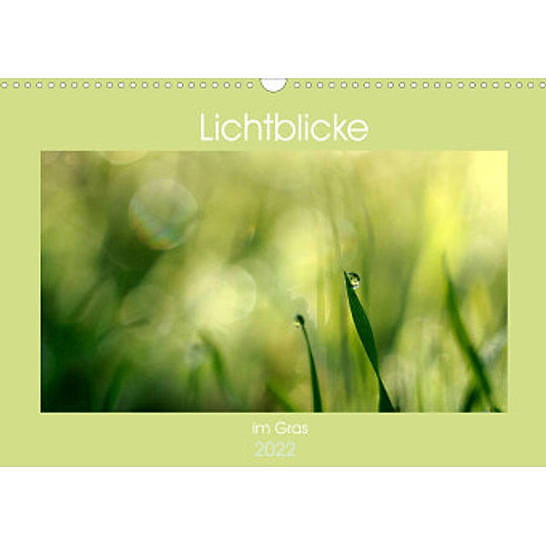 Lichtblicke im Gras (Wandkalender 2022 DIN A3 quer), Rosina Schneider