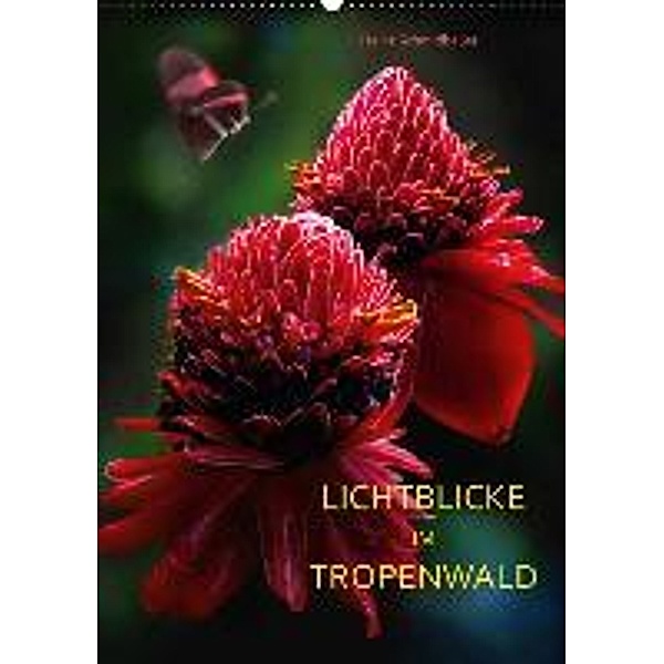LICHTBLICKE IM TROPENWALD (Wandkalender 2016 DIN A2 hoch), Heinz Schmidbauer