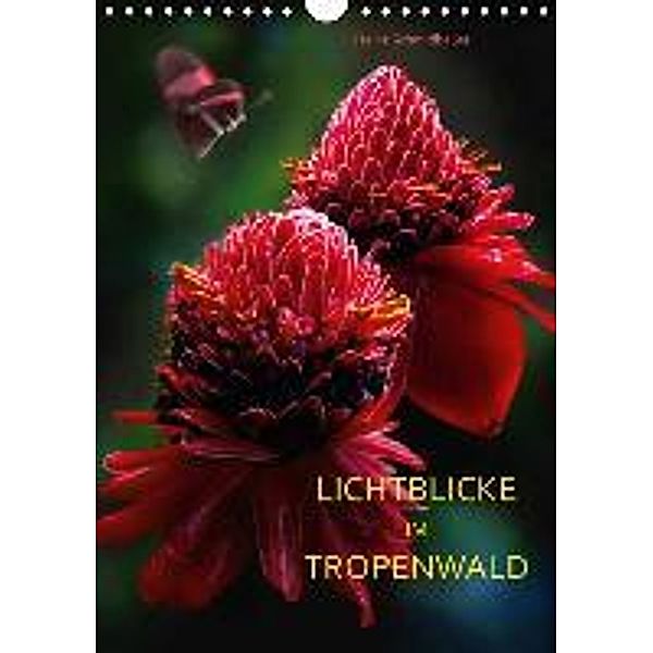 LICHTBLICKE IM TROPENWALD (Wandkalender 2016 DIN A4 hoch), Heinz Schmidbauer