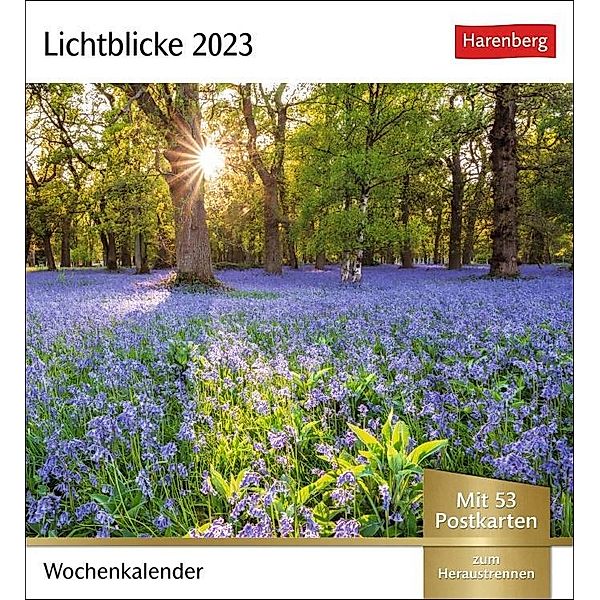 Lichtblicke Postkartenkalender. Kalender zum Aufstellen oder Aufhängen. Postkarten-Tischkalender 202 mit beeindruckenden