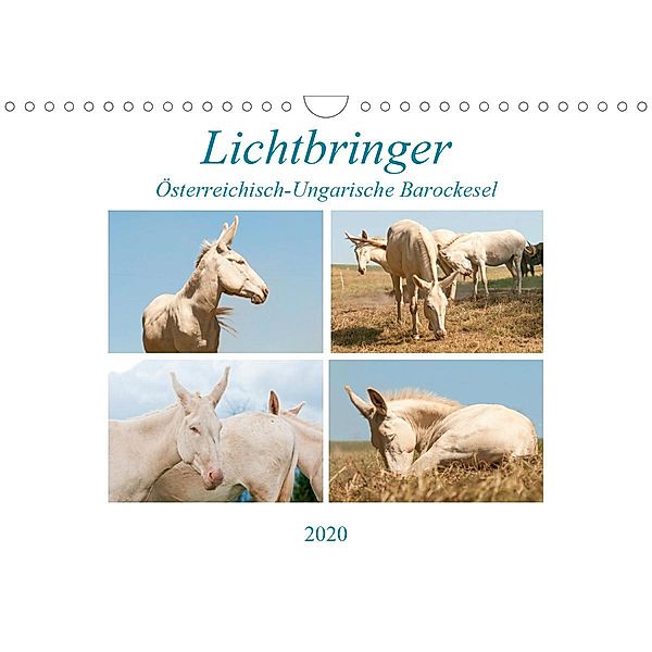 Lichtbringer - Österreichisch-Ungarische Barockesel (Wandkalender 2020 DIN A4 quer), Meike Bölts