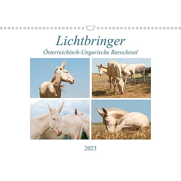 Lichtbringer - Österreichisch-Ungarische Barockesel (Wandkalender 2023 DIN A3 quer), Meike Bölts