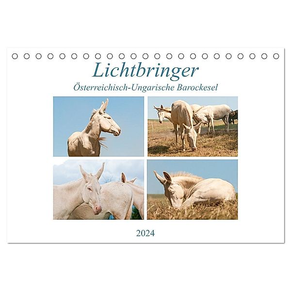 Lichtbringer - Österreichisch-Ungarische Barockesel (Tischkalender 2024 DIN A5 quer), CALVENDO Monatskalender, Meike Bölts