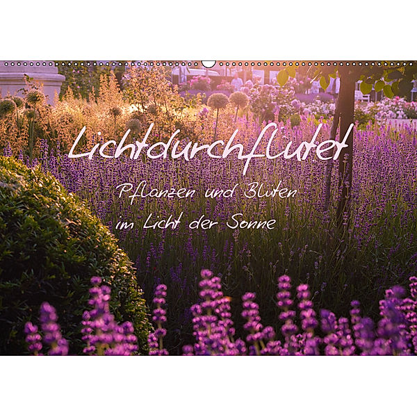 Lichtdurchflutet (Wandkalender 2019 DIN A2 quer), Ilse Kunz