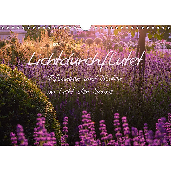 Lichtdurchflutet (Wandkalender 2019 DIN A4 quer), Ilse Kunz