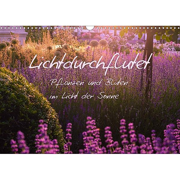 Lichtdurchflutet (Wandkalender 2023 DIN A3 quer), Ilse Kunz