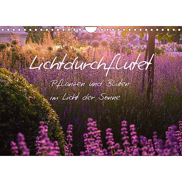 Lichtdurchflutet (Wandkalender 2023 DIN A4 quer), Ilse Kunz