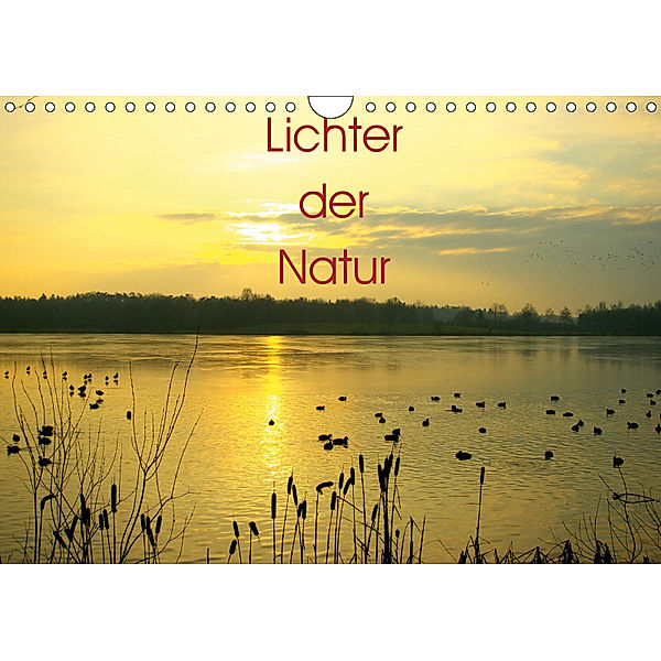 Lichter der Natur (Wandkalender 2019 DIN A4 quer), Vera Laake