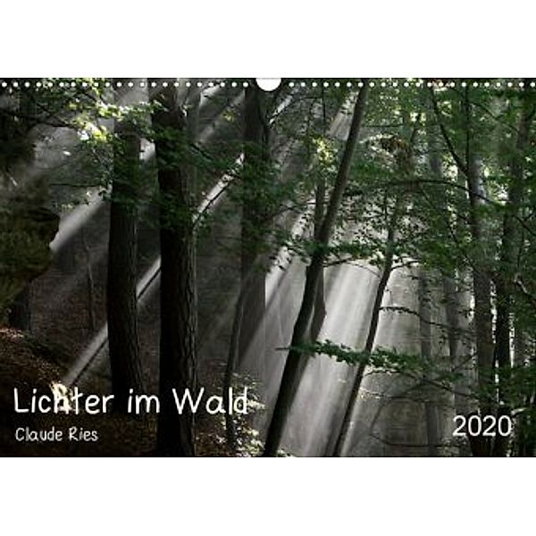 Lichter im Wald (Wandkalender 2020 DIN A3 quer), Claude Ries Luxemburg