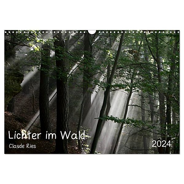 Lichter im Wald (Wandkalender 2024 DIN A3 quer), CALVENDO Monatskalender, Claude Ries Luxemburg