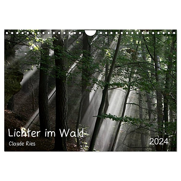 Lichter im Wald (Wandkalender 2024 DIN A4 quer), CALVENDO Monatskalender, Claude Ries Luxemburg