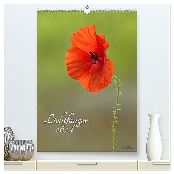 Lichtfänger (hochwertiger Premium Wandkalender 2024 DIN A2 hoch), Kunstdruck in Hochglanz, Ulrike Adam