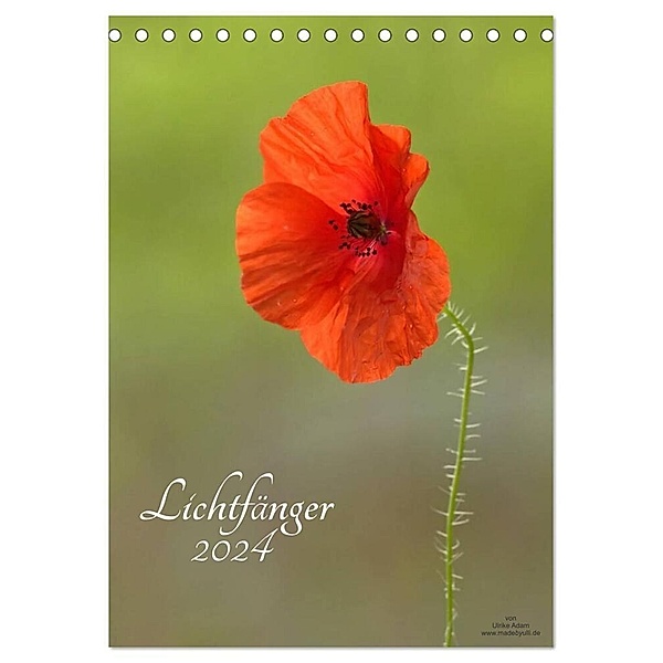 Lichtfänger (Tischkalender 2024 DIN A5 hoch), CALVENDO Monatskalender, Ulrike Adam