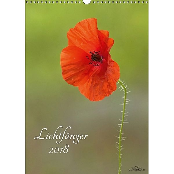 Lichtfänger (Wandkalender 2018 DIN A3 hoch), Ulrike Adam