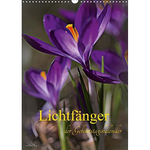 Lichtfänger (Wandkalender 2021 DIN A3 hoch), Ulrike Adam