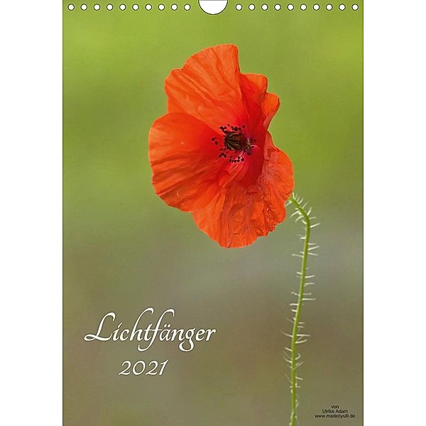 Lichtfänger (Wandkalender 2021 DIN A4 hoch), Ulrike Adam