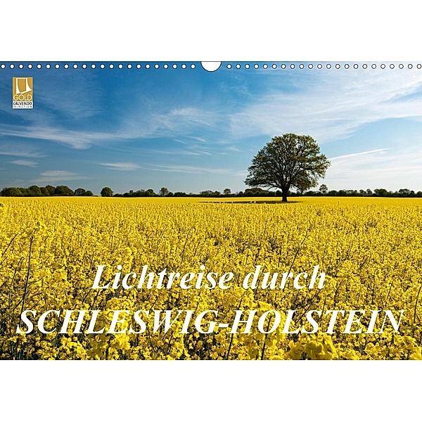 Lichtreise durch Schleswig-Holstein (Wandkalender 2020 DIN A3 quer)