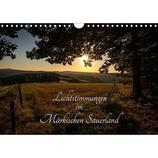 Lichtstimmungen im Märkischen Sauerland (Wandkalender 2020 DIN A4 quer), Simone Rein