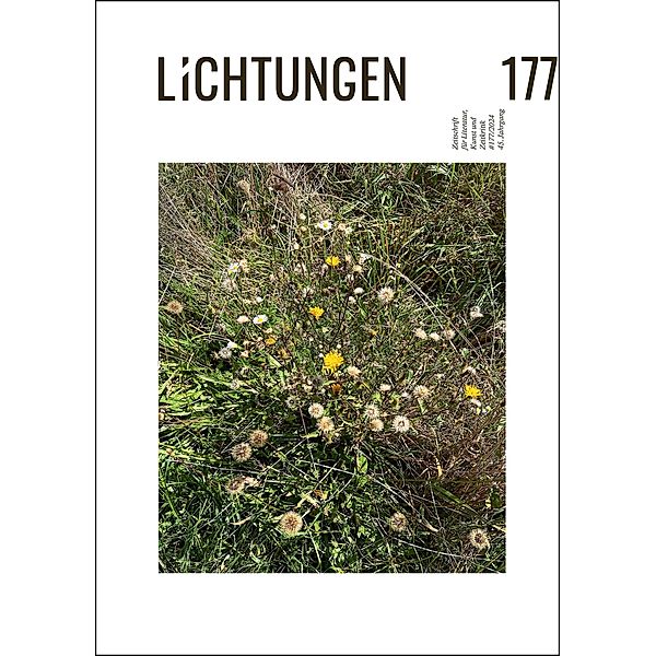 Lichtungen 177