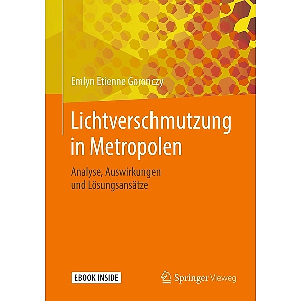 Lichtverschmutzung in Metropolen / Springer Vieweg, Emlyn Etienne Goronczy