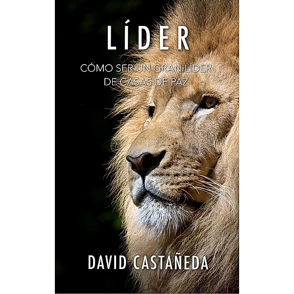 Líder, David Castañeda