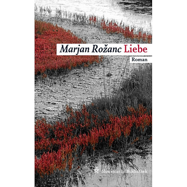 Liebe, Marjan Rozanc