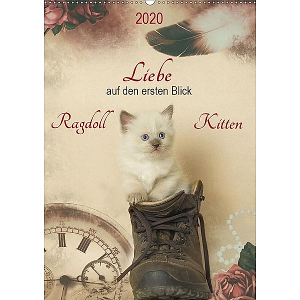 Liebe auf den ersten Blick . Ragdoll Kitten (Wandkalender 2020 DIN A2 hoch), Marion Reiß-Seibert