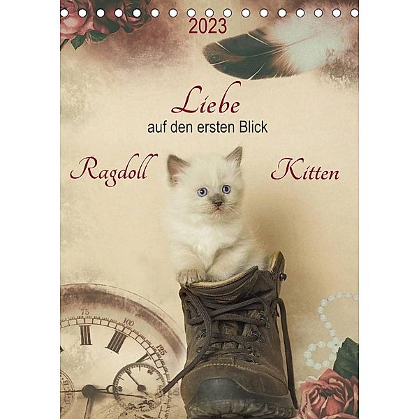 Liebe auf den ersten Blick . Ragdoll Kitten (Tischkalender 2023 DIN A5 hoch), Marion Reiß-Seibert