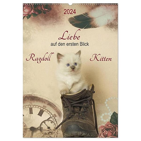 Liebe auf den ersten Blick . Ragdoll Kitten (Wandkalender 2024 DIN A2 hoch), CALVENDO Monatskalender, Marion Reiss-Seibert