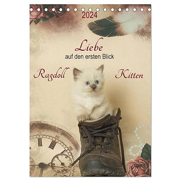 Liebe auf den ersten Blick . Ragdoll Kitten (Tischkalender 2024 DIN A5 hoch), CALVENDO Monatskalender, Marion Reiß-Seibert