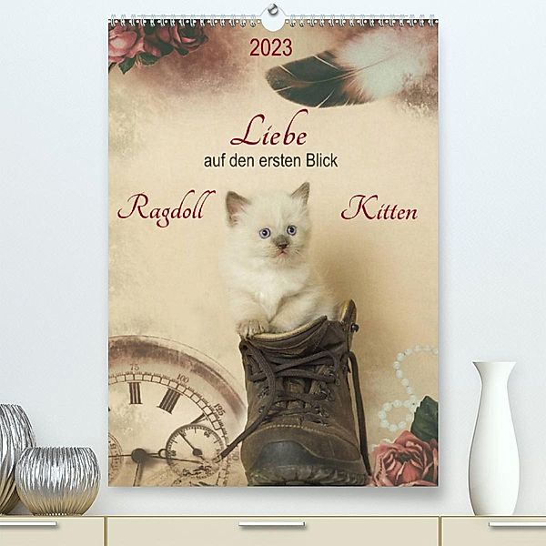 Liebe auf den ersten Blick . Ragdoll Kitten (Premium, hochwertiger DIN A2 Wandkalender 2023, Kunstdruck in Hochglanz), Marion Reiß-Seibert