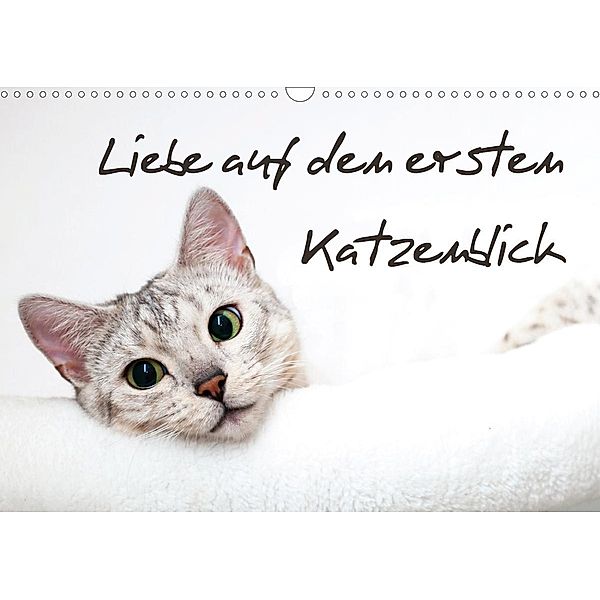 Liebe auf den ersten Katzenblick (Wandkalender 2021 DIN A3 quer), Sylke Enderlein - Bethari Bengals