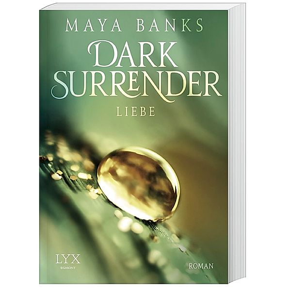 Liebe / Dark Surrender Bd.3, Maya Banks