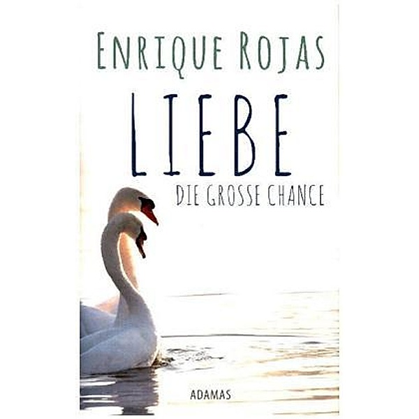 LIEBE - Die große Chance, Enrique Rojas