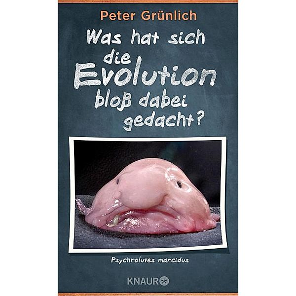 Liebe Evolution, ist das dein Ernst?!, Mara Grunbaum