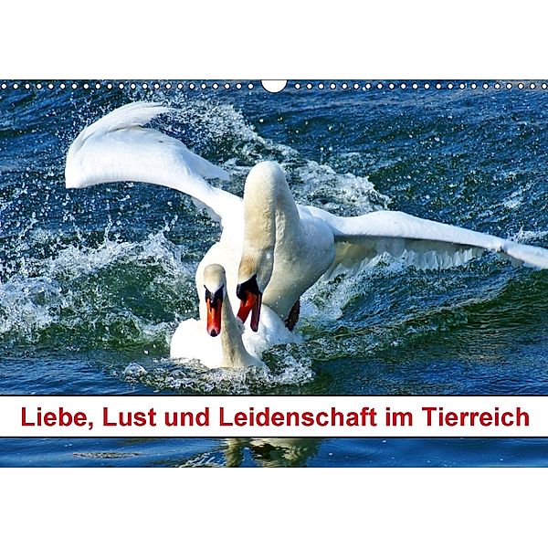 Liebe, Lust und Leidenschaft im Tierreich (Wandkalender 2018 DIN A3 quer) Dieser erfolgreiche Kalender wurde dieses Jahr, kattobello