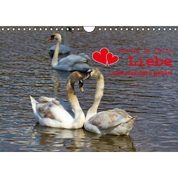 Liebe - ...und was dazu gehört (Wandkalender 2016 DIN A4 quer), Ursula Di Chito