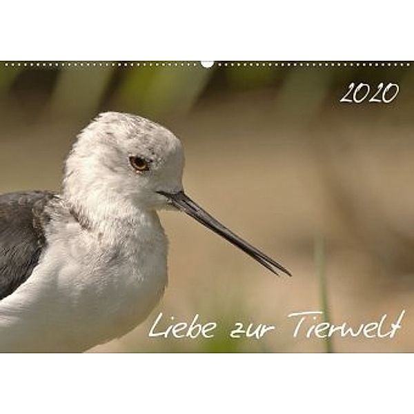 Liebe zur Tierwelt (Wandkalender 2020 DIN A2 quer), Kevin Andreas Lederle