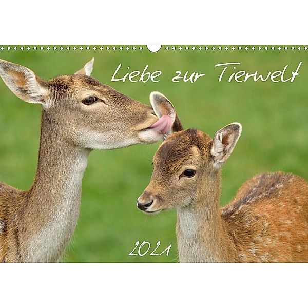 Liebe zur Tierwelt (Wandkalender 2021 DIN A3 quer), Kevin Andreas Lederle