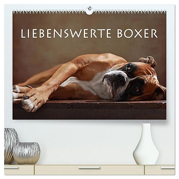 Liebenswerte Boxer (hochwertiger Premium Wandkalender 2024 DIN A2 quer), Kunstdruck in Hochglanz, Jana Behr