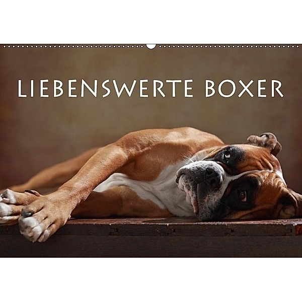 Liebenswerte Boxer (Wandkalender 2017 DIN A2 quer), Jana Behr
