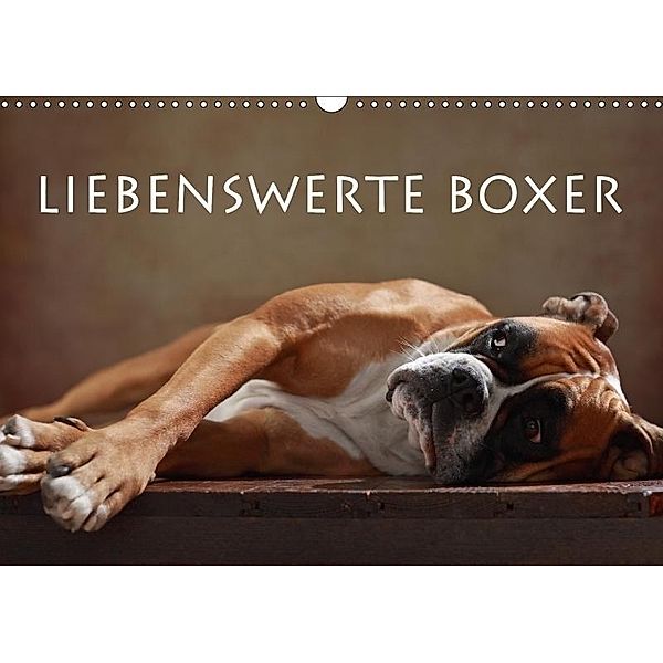 Liebenswerte Boxer (Wandkalender 2017 DIN A3 quer), Jana Behr