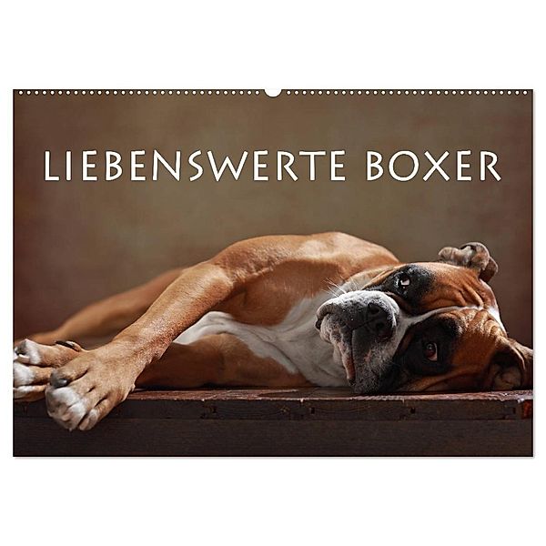 Liebenswerte Boxer (Wandkalender 2024 DIN A2 quer), CALVENDO Monatskalender, Jana Behr