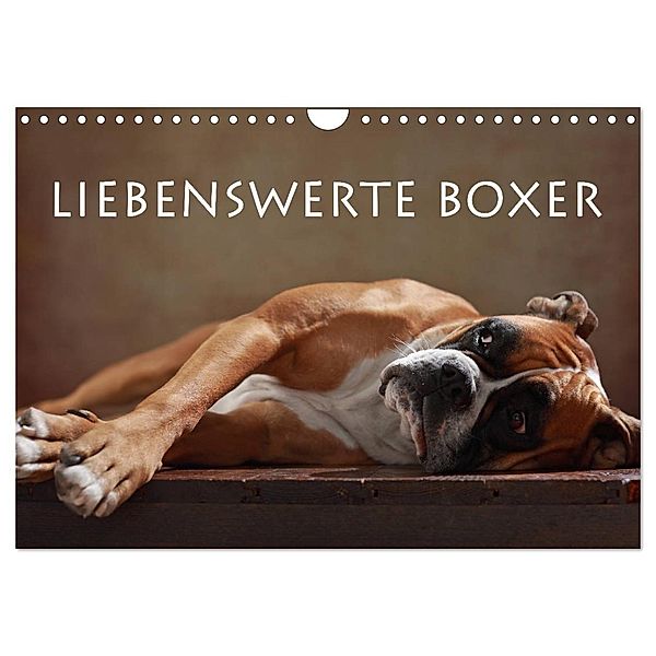 Liebenswerte Boxer (Wandkalender 2025 DIN A4 quer), CALVENDO Monatskalender, Calvendo, Jana Behr