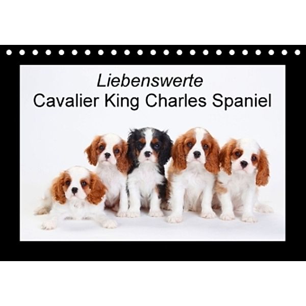 Liebenswerte Cavalier King Charles Spaniel (Tischkalender 2016 DIN A5 quer), Petra Wegner