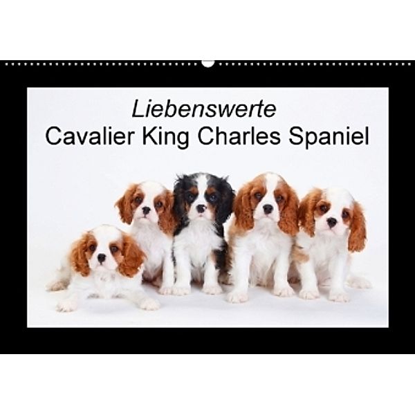 Liebenswerte Cavalier King Charles Spaniel (Wandkalender 2017 DIN A2 quer), Petra Wegner