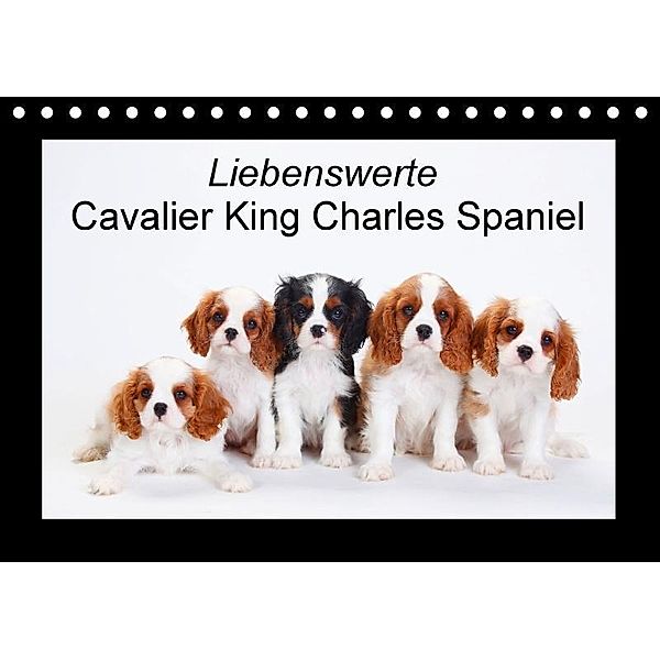 Liebenswerte Cavalier King Charles Spaniel (Tischkalender 2017 DIN A5 quer), Petra Wegner